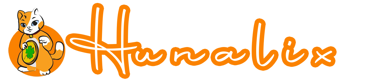 Boutique Hunalix